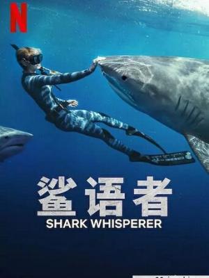 双城之夜 封面